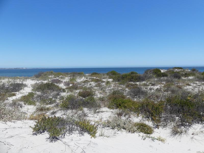 0 Bedroom Property for Sale in Shelley Point Western Cape